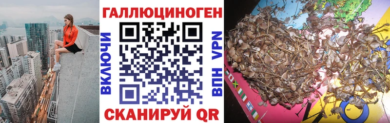 купить  сайты  Углич  Псилоцибиновые грибы GOLDEN TEACHER 